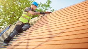 Best Rubber Roofing (EPDM, TPO)  in Ann Arbor, MI