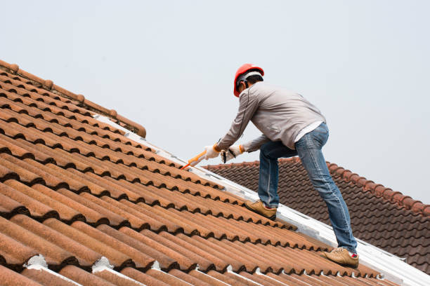 Steel Roofing in Ann Arbor, MI