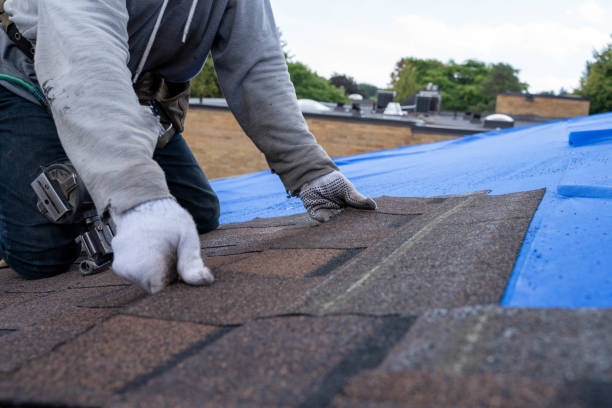Best Commercial Roofing Services  in Ann Arbor, MI