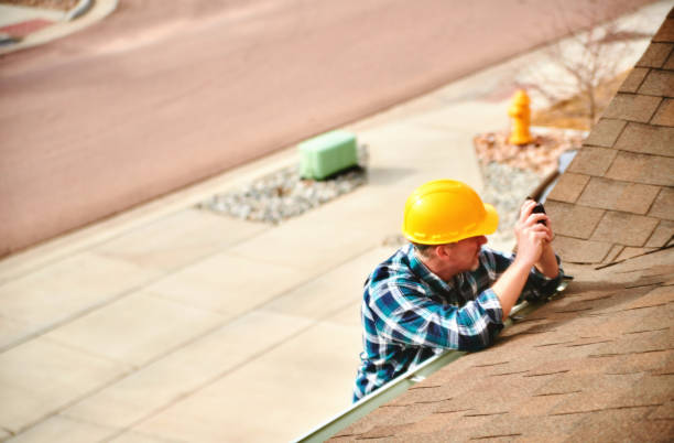 Best Roof Moss and Algae Removal  in Ann Arbor, MI