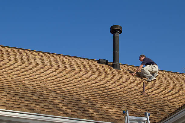 Best Roof Coating and Sealing  in Ann Arbor, MI