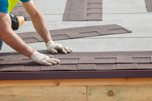 Best Chimney Flashing Repair  in Ann Arbor, MI