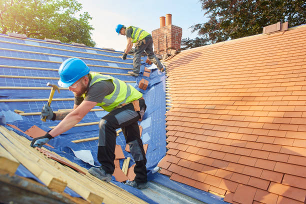 Best Emergency Roof Repair Services  in Ann Arbor, MI